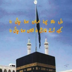 Nohay of Raza Abbas Shah 2016 Aj Ghar Ghar Alam