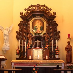 Introduction à Schoenstatt