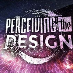 Perceiving The Design - Anointed