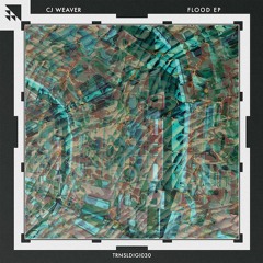 CJ Weaver - Flash Freeze