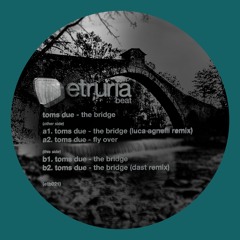 Toms Due - The Bridge (Luca Agnelli remix)