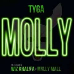 Molly- Tyga Feat. Wiz Khalifa and Mally Mae