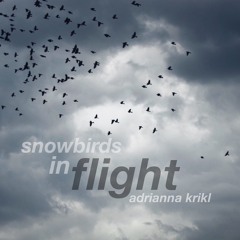 Snowbirds In Flight - Full Album - FREE download