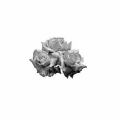 16 - Contra La Realidad (Ft. KaiPeak$) (Prod. Young Dogo)