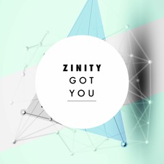 Zinity - Got You (Original Mix)