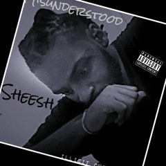 Misunderstood - Sheesh