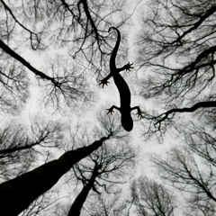 Hoth System - Informative