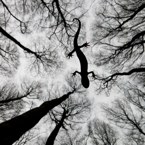 Hoth System - Informative