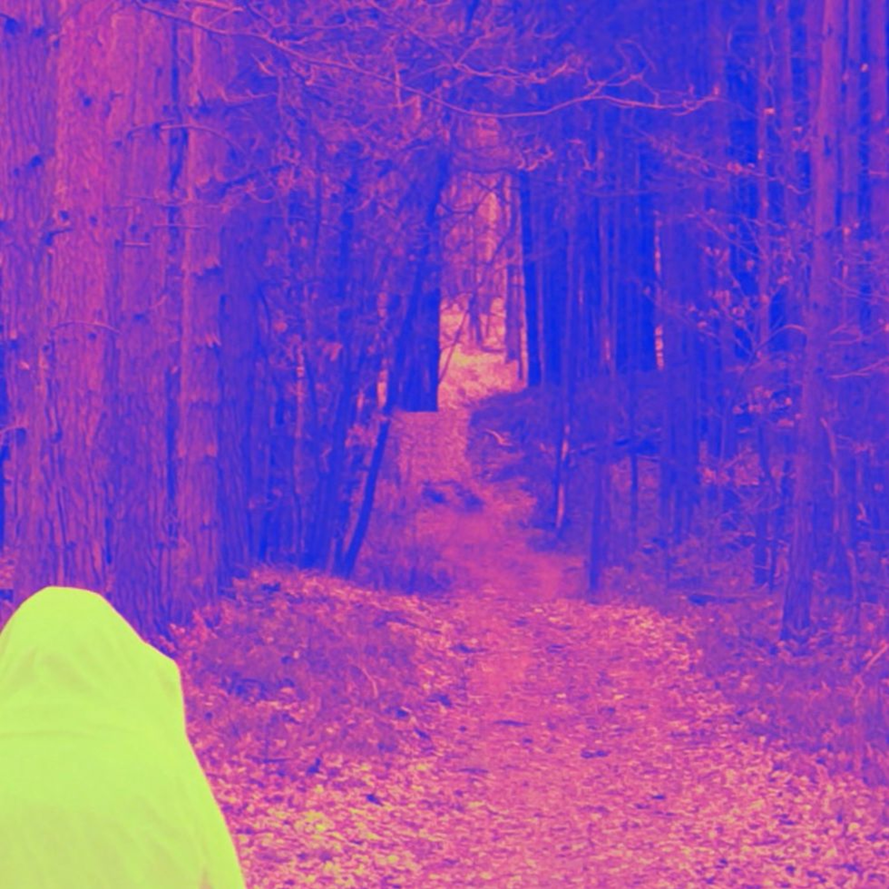Vlimmer - Schimmer episode artwork