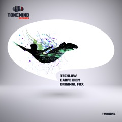 Techlow - Carpe Diem (Original Mix)(Available 06.01.16)