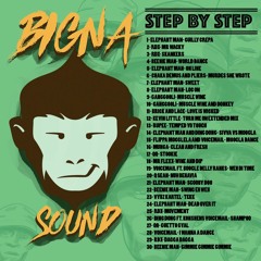Dancehall mix - Step by step (Mix By Bigna Sound)