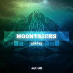 Moontricks - Fire feat. Dash