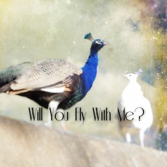 Will You Fly With Me?