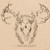 Artwork for 03 Library And Archive - Phyletic Extinction