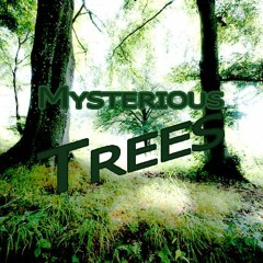 Mysterious Trees_Narsko!