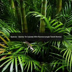 Криско - Шапка Ти Свалям (Rim Runner Jungle Twerk Remix)