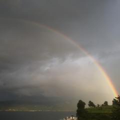 窦唯－从命(original Mix）