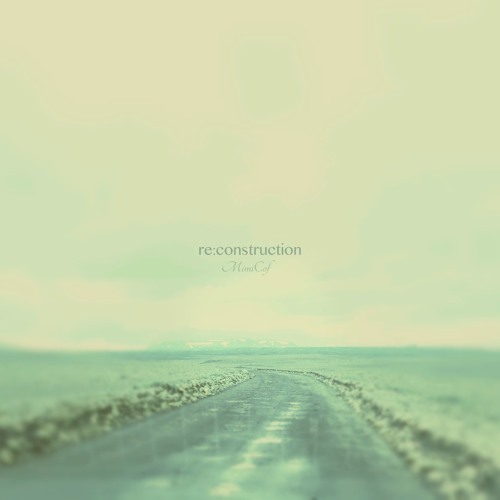 Tunnel Dub Reconstruction