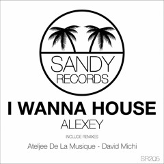 Alexey - I Wanna House (David Michi Mix)