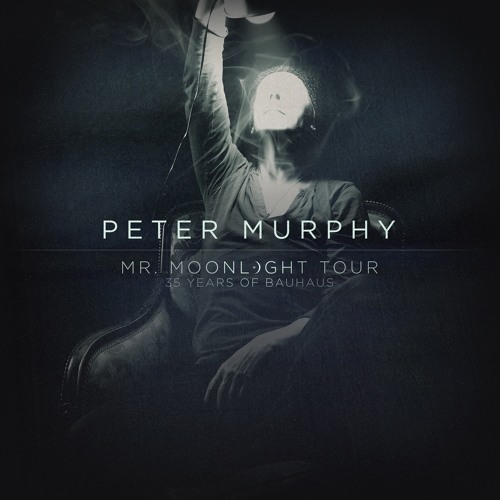 Peter Murphy - Dark Entries (Live)