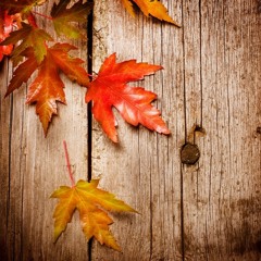 Deep Autumn 2