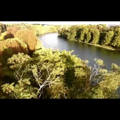 Phénomène Bizness - FLY #BiziTime #3