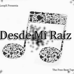 3. Sound LoopX (DMR)