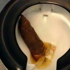 Together Pangea - Sick Shit Cover