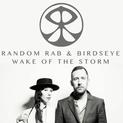 Random Rab & Birdseye - Wake of the Storm