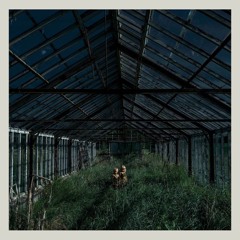 Foxing - "Three On A Match"