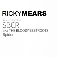 SBCR aka The Bloody Beetroots - Spider (Ricky Mears  Remix)**WINNING REMIX**
