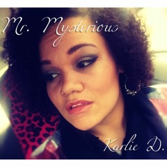 Mr. Mysterious by Karlie D.