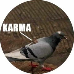 Sonar Faces - She hates Pigeons (raw edit)