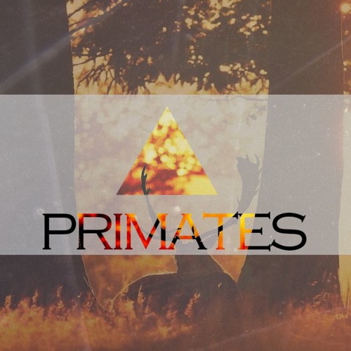 DJ Kong's Primates Minimix (Melbourne Hardstyle)