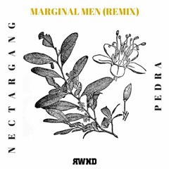 Nectar Gang - Pedra (Marginal Men Remix)