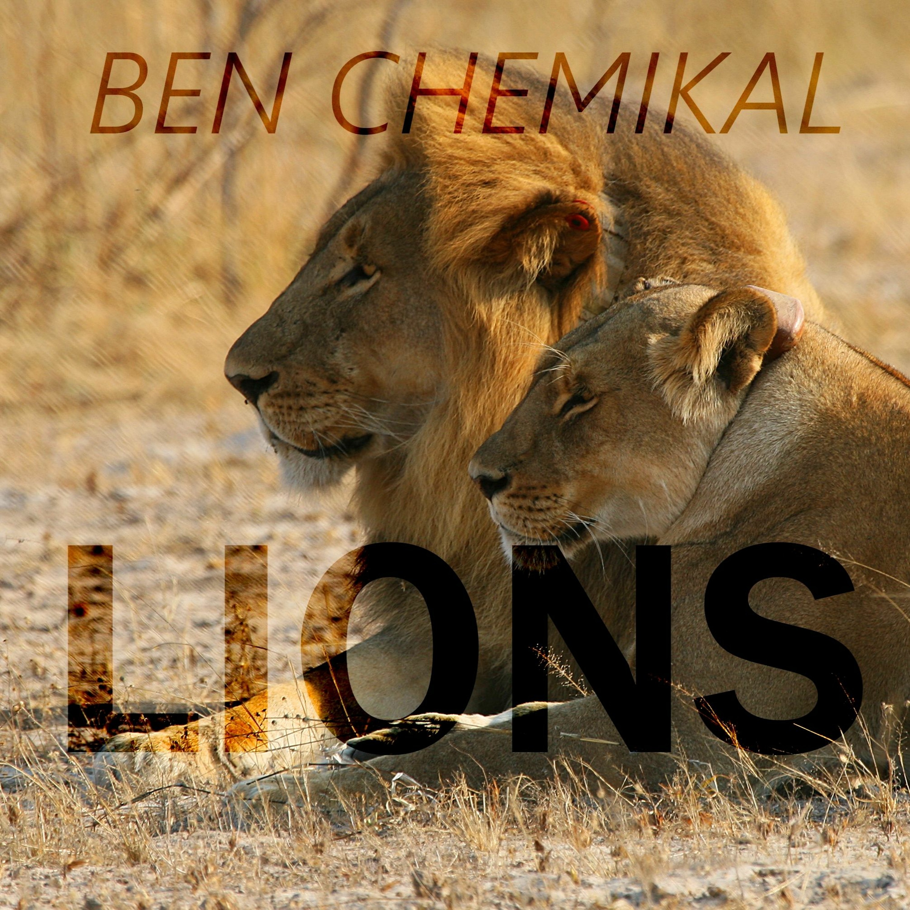 Ben Chemikal
