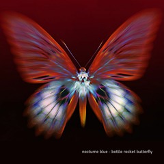 Nocturne Blue - Bottle Rocket Butterfly