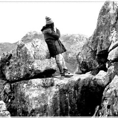 DLParke- Sin Tonterías