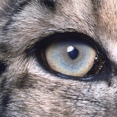 KRANK presents the 'Pepto-Bismol' mix!