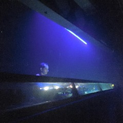 Patterns 151 - Live At MOS