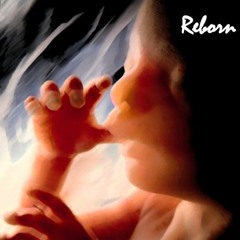 OwnReality - 02 - X & Y.MP3