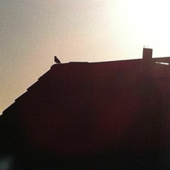 Thinking Things With My Mouth