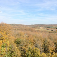 Down The Road (Demo)