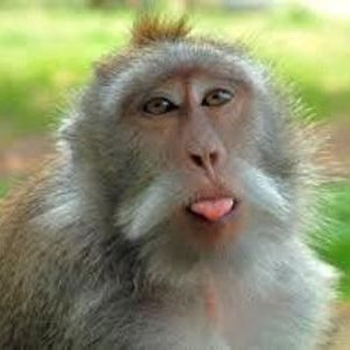 Dr Cryptic - Cheeky (Free Download)