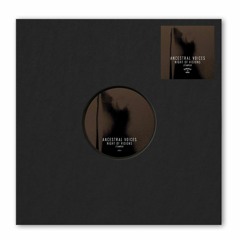 Ancestral Voices 'Night Of Visions' LP Sampler | Out now