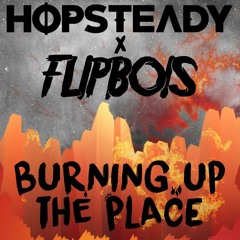 høpSTEADY & FlipBois - Burning Up The Place