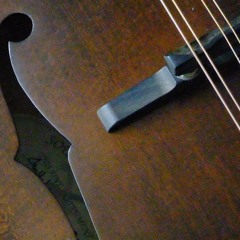 Andy McGann's / The Crib of Perches