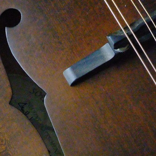 Andy McGann's / The Crib of Perches