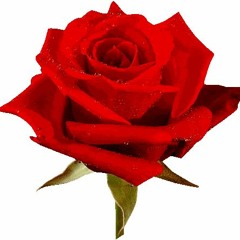 ♥ Te Conocí ♥ - Canción Para Dedicar A Tu Novia