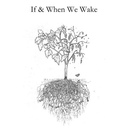 If & When We Wake Interview